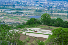 五月初旬の姨捨風景_1