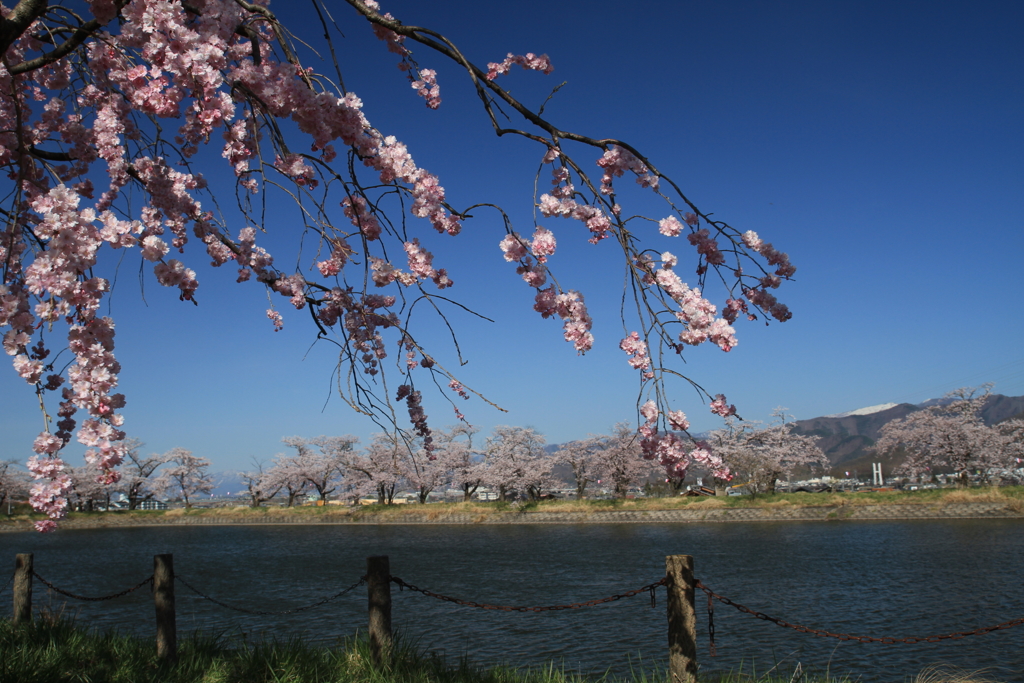 治田公園はるだ～！_2