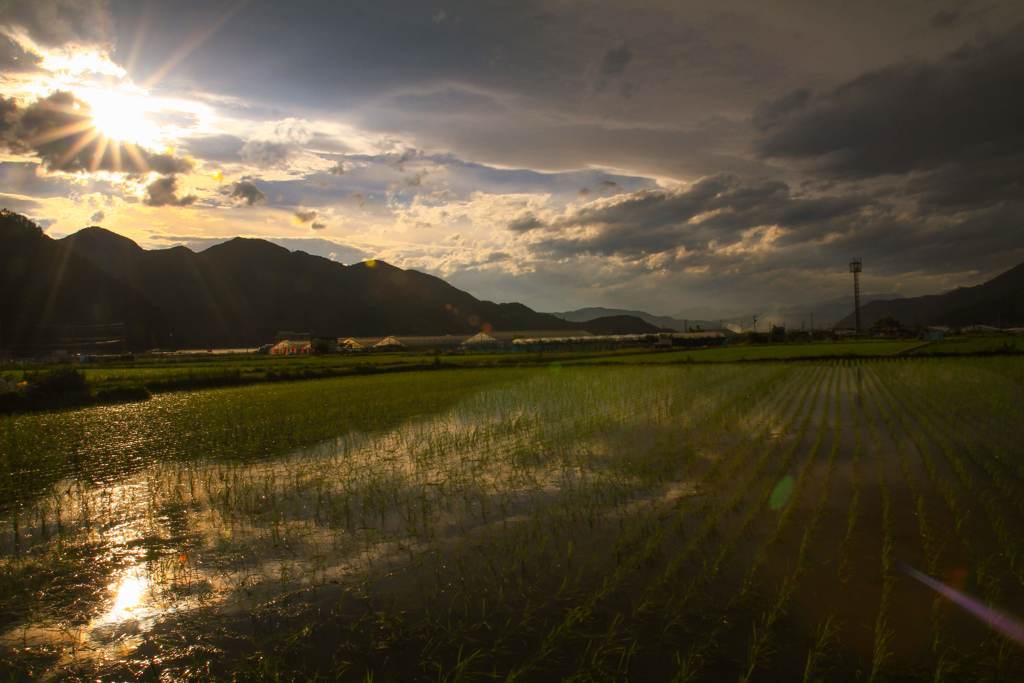 仕事帰りの畦夕景