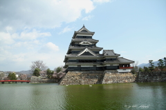 桜咲く烏城_5