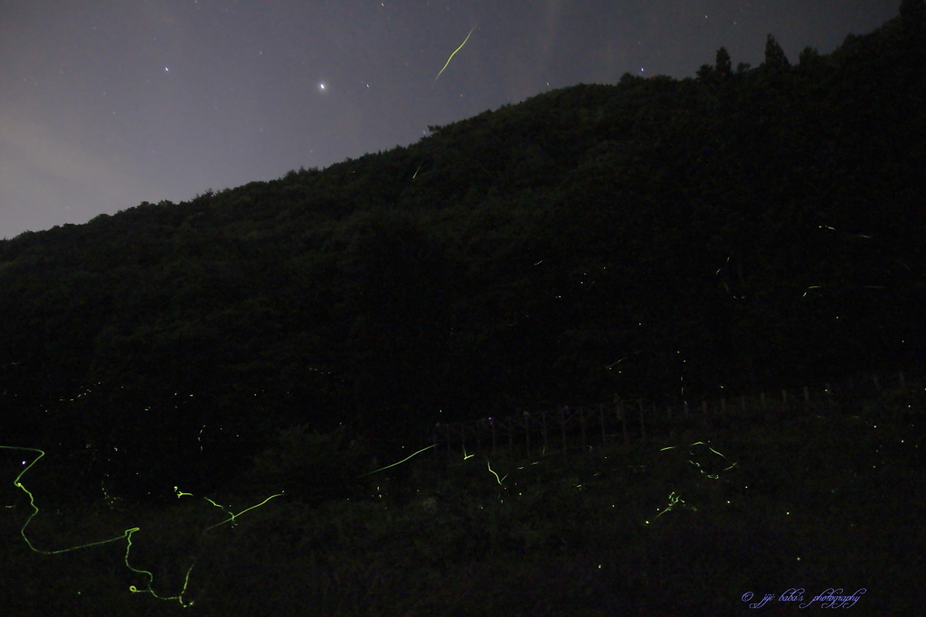 天まで飛んで星になれ～☆彡