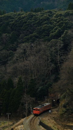 今は山中♪♪今は谷♪♪（古っ、、）