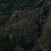 今は山中♪♪今は谷♪♪（古っ、、）