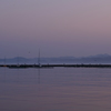 館山湾の朝