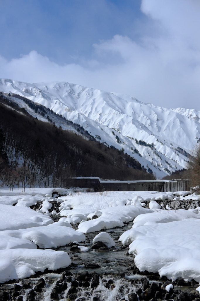 雪〜！！