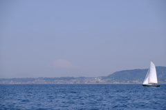 SAILING