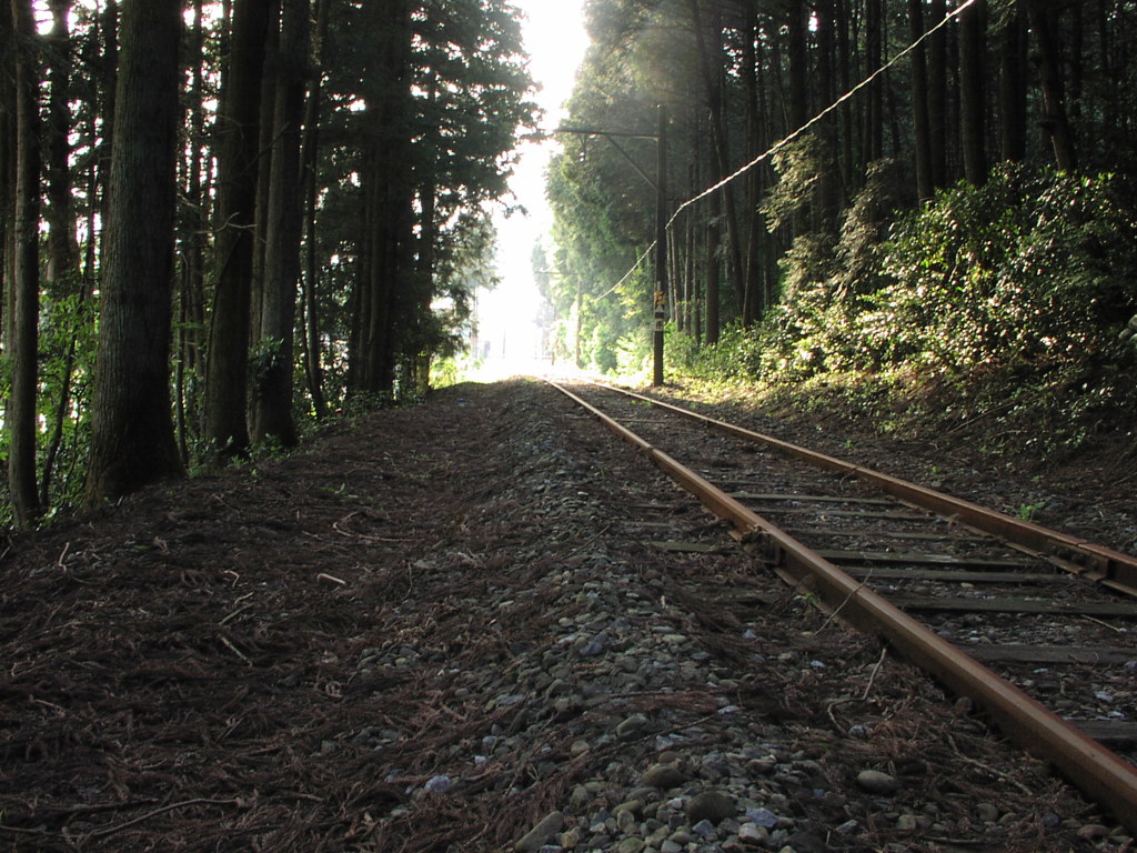 錆びた鉄路は、違う世界に通じている気がした