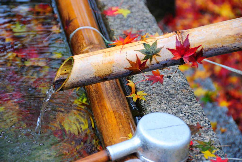 京都、清水寺2008/12、手水舎