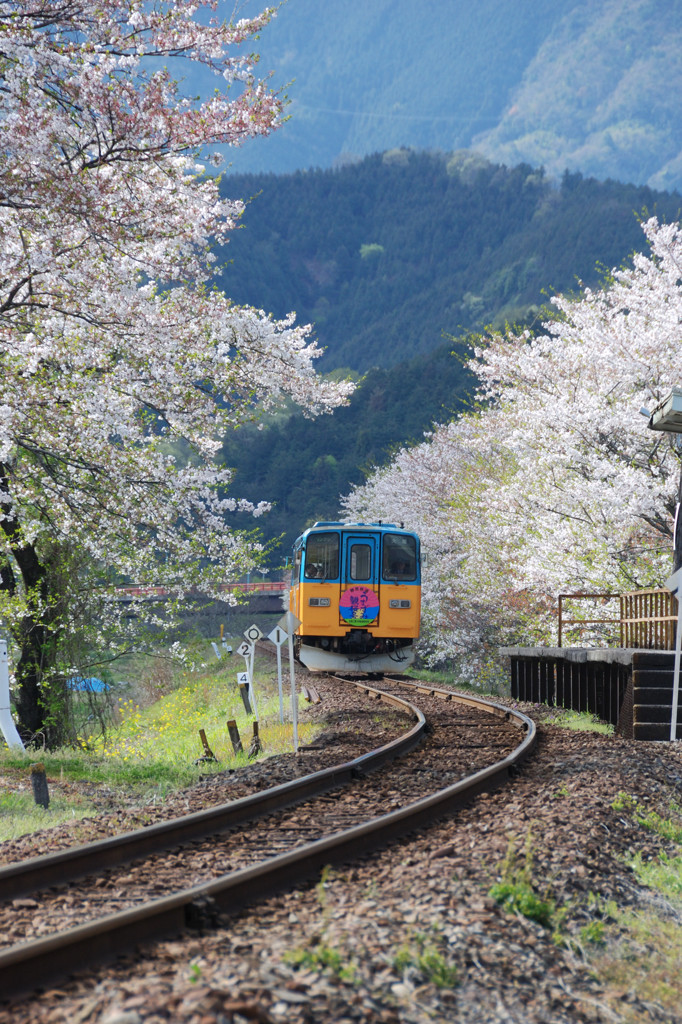 曲がり道、セメント輸送は廃止