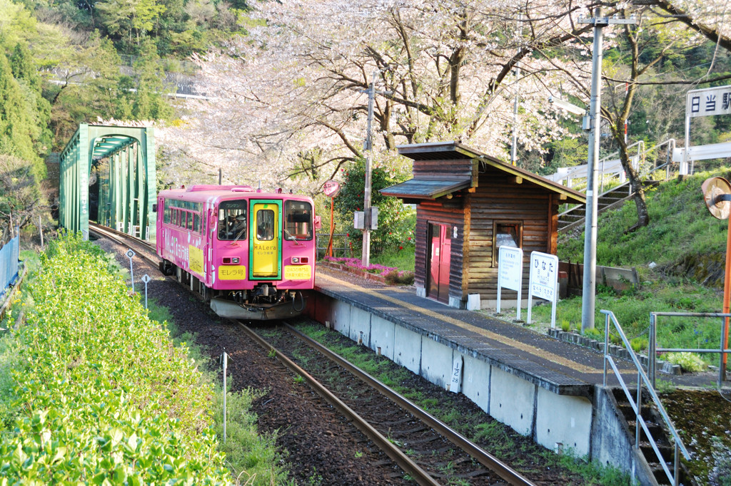 ひなた駅の春、乗降客は無く