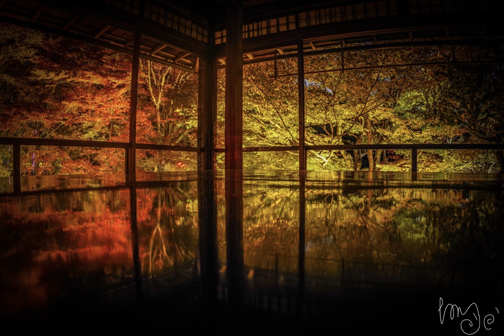 瑠璃光院