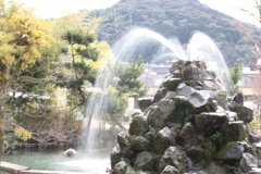 動物園の噴水
