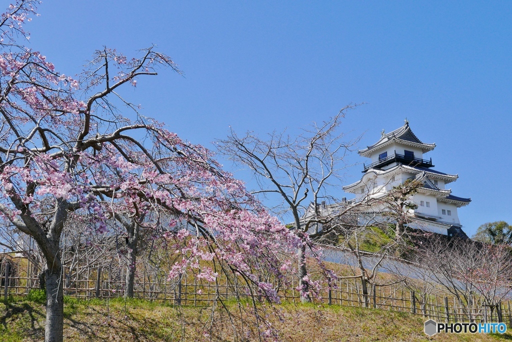 晴天なり