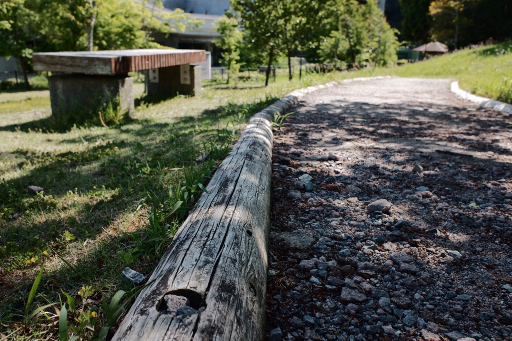 散歩道とベンチ