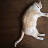 生きてるかぁ〜い