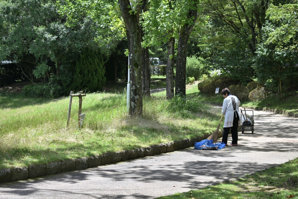木漏れ日掃除