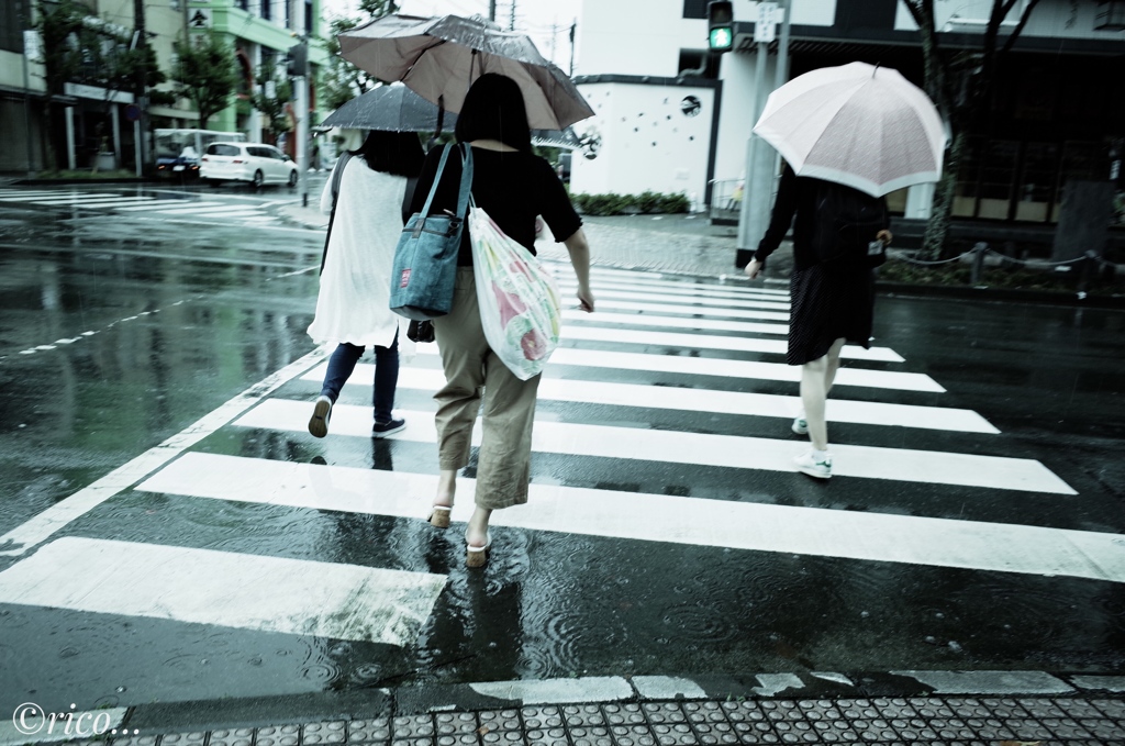 秋雨前線