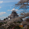 ～鶴ヶ城～
