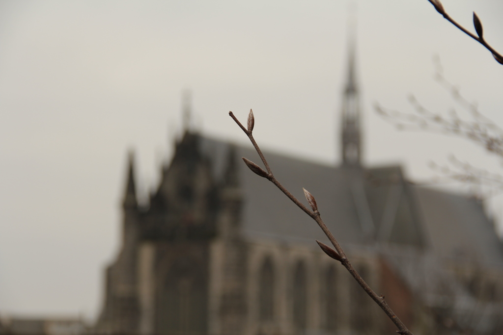 オランダ　ライデンの街　その４