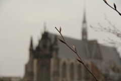 オランダ　ライデンの街　その４