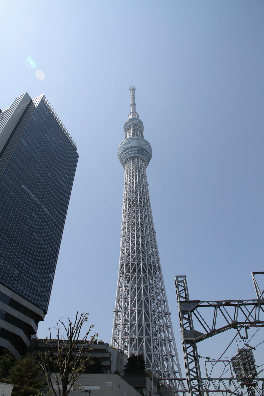 スカイツリーを望む　その１
