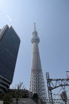 スカイツリーを望む　その１