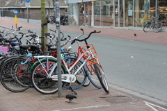 オランダ　ライデンの街　その５