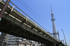 スカイツリーを望む　その７
