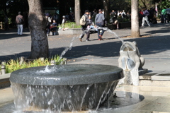IMG_2024