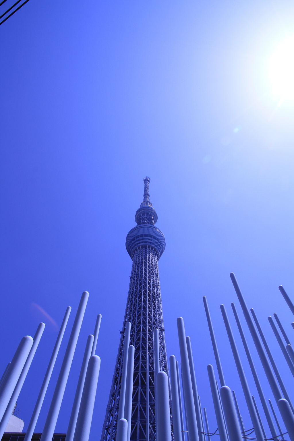 スカイツリーを望む　その５