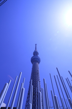 スカイツリーを望む　その５