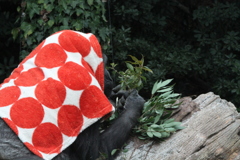 上野動物園　その１