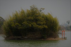 湖上の神社島
