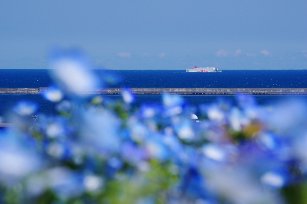 海原の向こうの海原