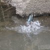 行水