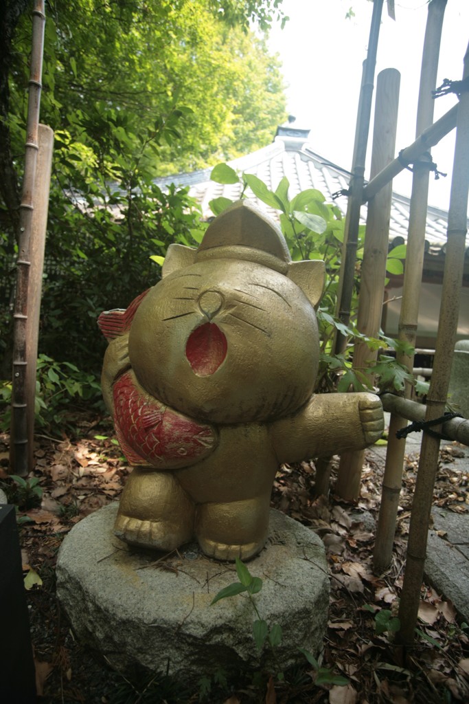 蛭子にゃん