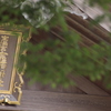 真夏の昼の夢Ⅱ