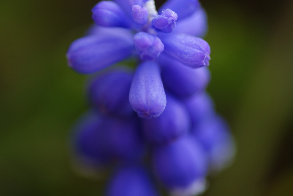 macro遊び③