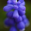 macro遊び③