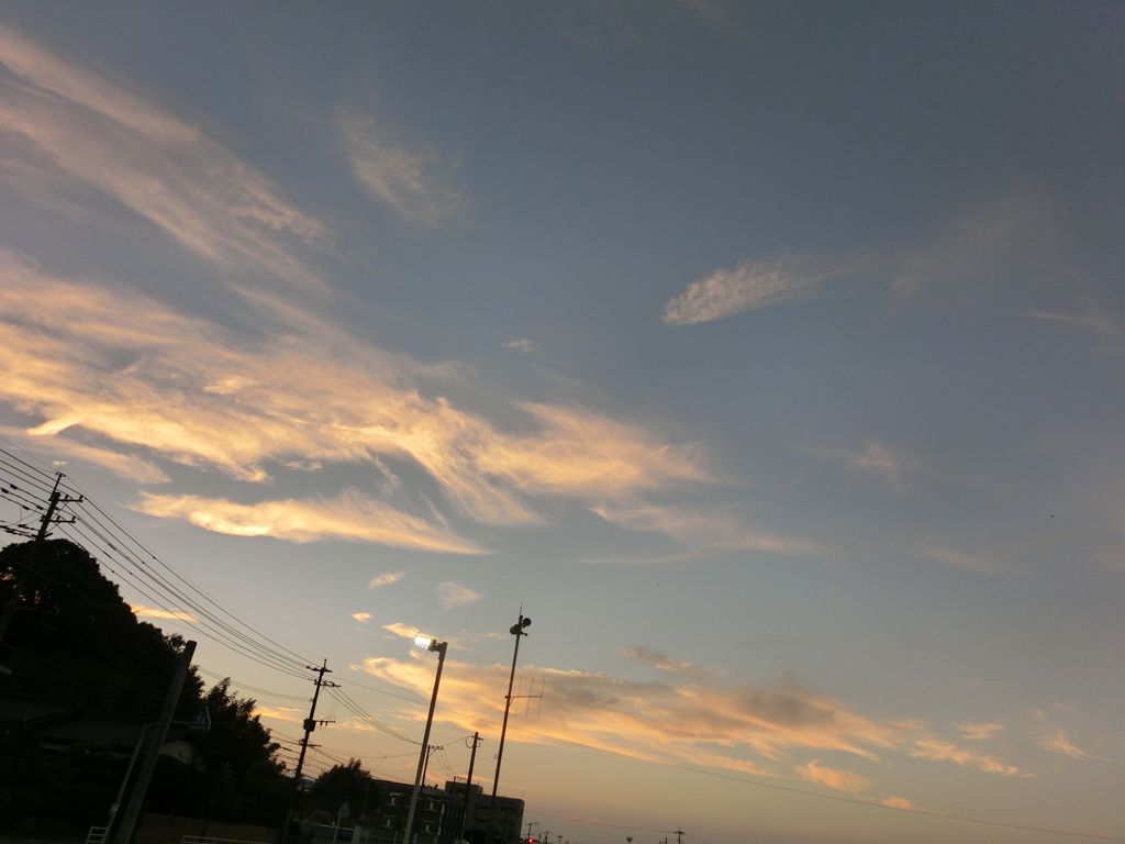 夕暮れに