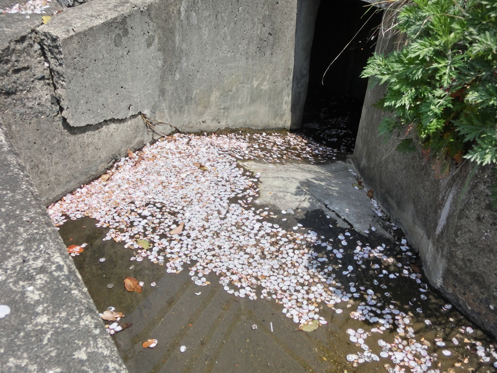 果てる　その弐