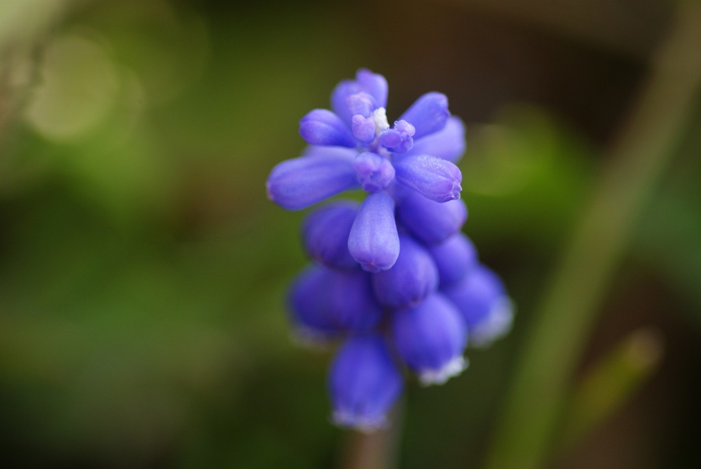 macro遊び②