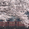 舞～終劇～