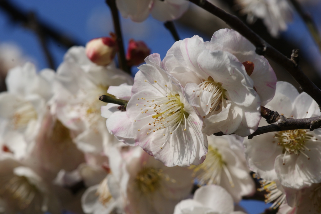 macro遊び⑦