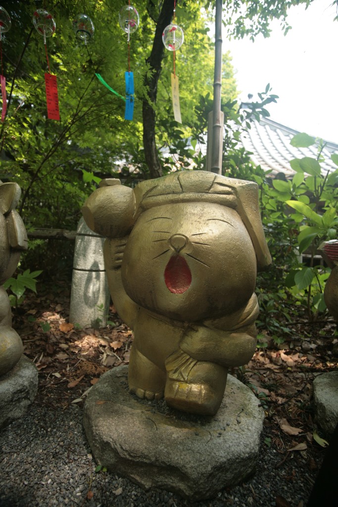 大国にゃん