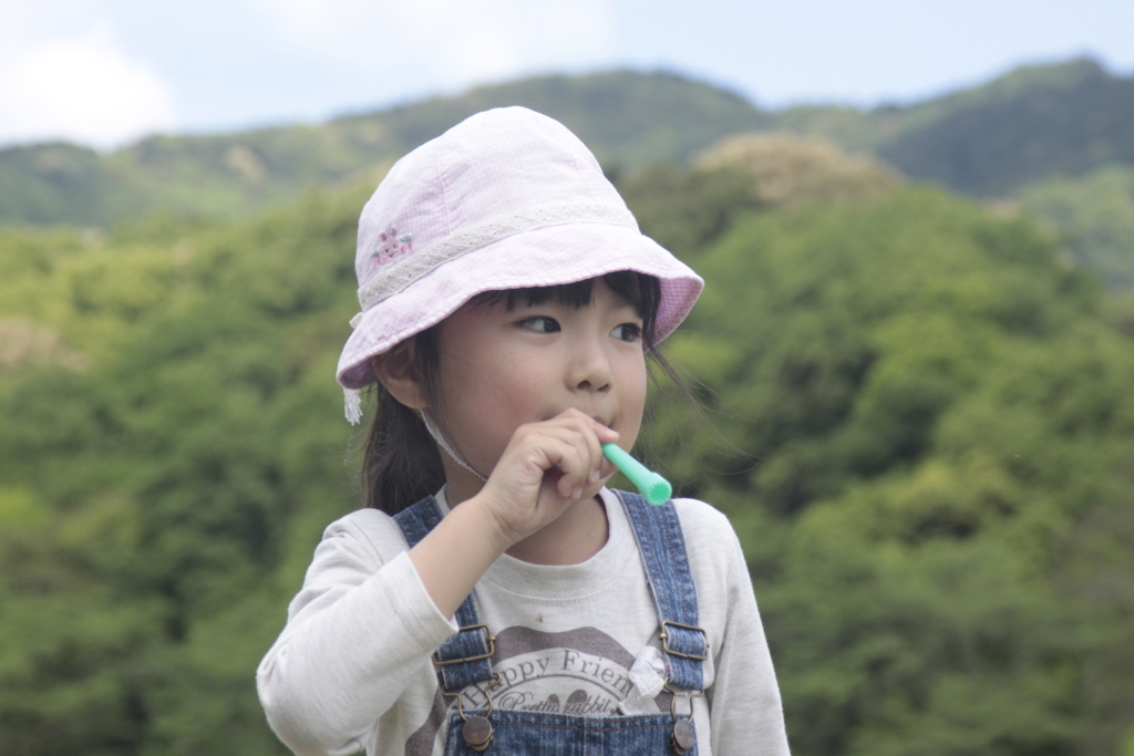 夢の行方