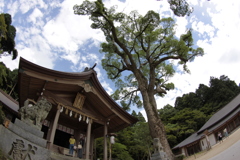 梅雨の晴れ間