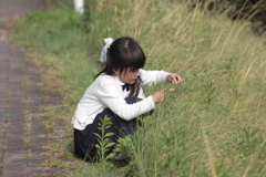 お花摘み