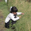 お花摘み