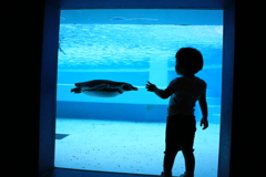 ペンギンたっち